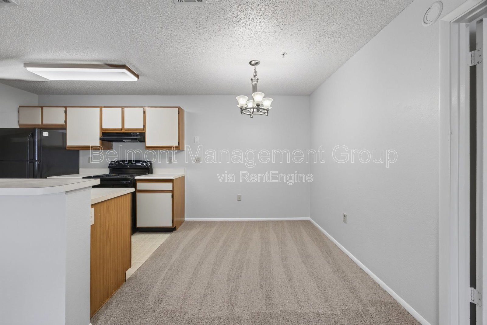 Move-In Ready! Freshly Painted 2 Bed, 2 Bath Condo with New Carpet & Balcony! property image