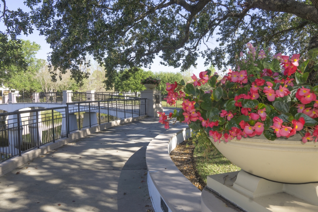 Spotlight on Baldwin Park